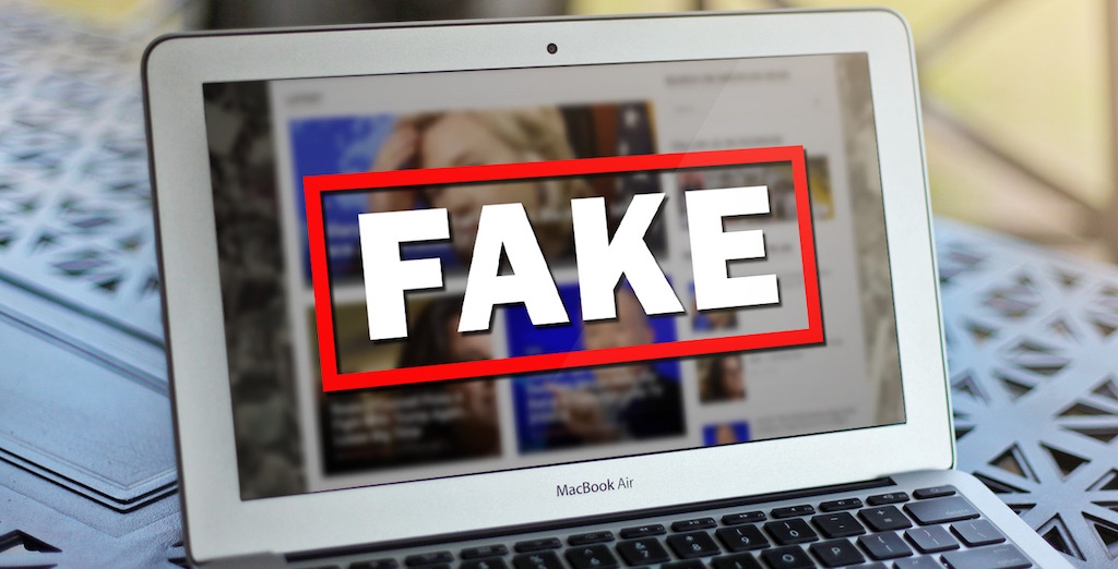 The phenomenon of fake media in Bosnia and Herzegovina   